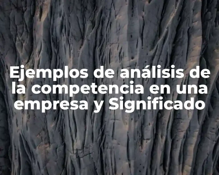 Ejemplos de análisis de la competencia en una empresa y Significado