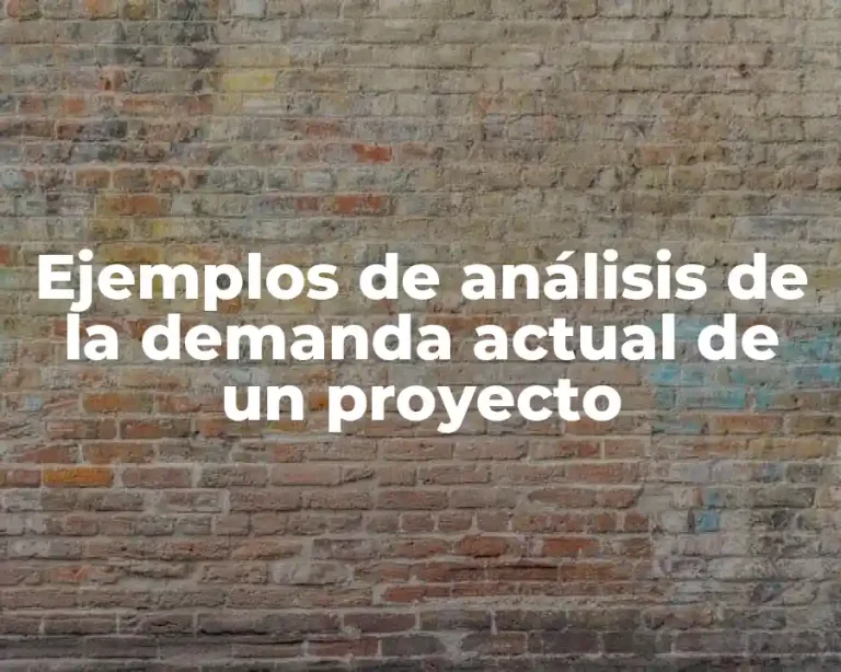 Ejemplos de análisis de la demanda actual de un proyecto