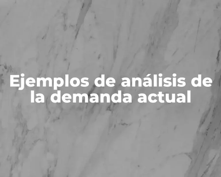 Ejemplos de análisis de la demanda actual