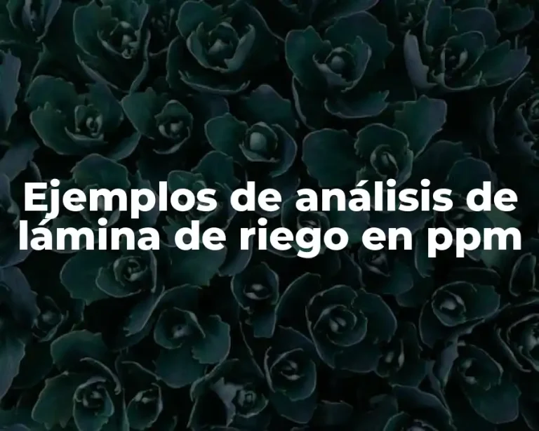 Ejemplos de análisis de lámina de riego en ppm