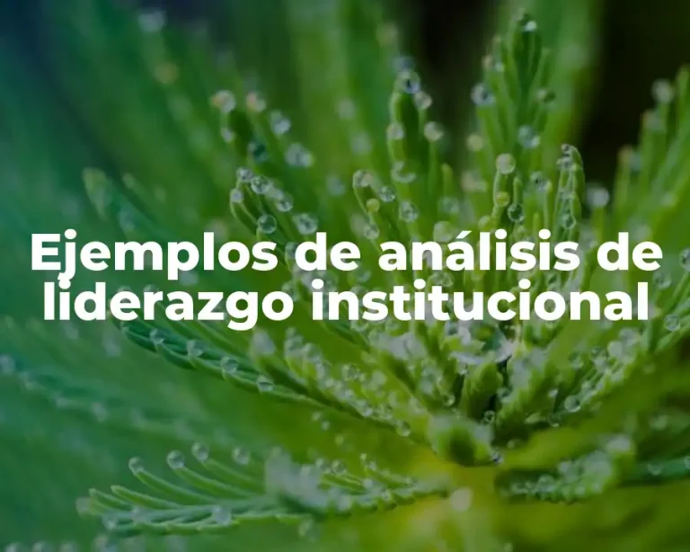 Ejemplos de análisis de liderazgo institucional