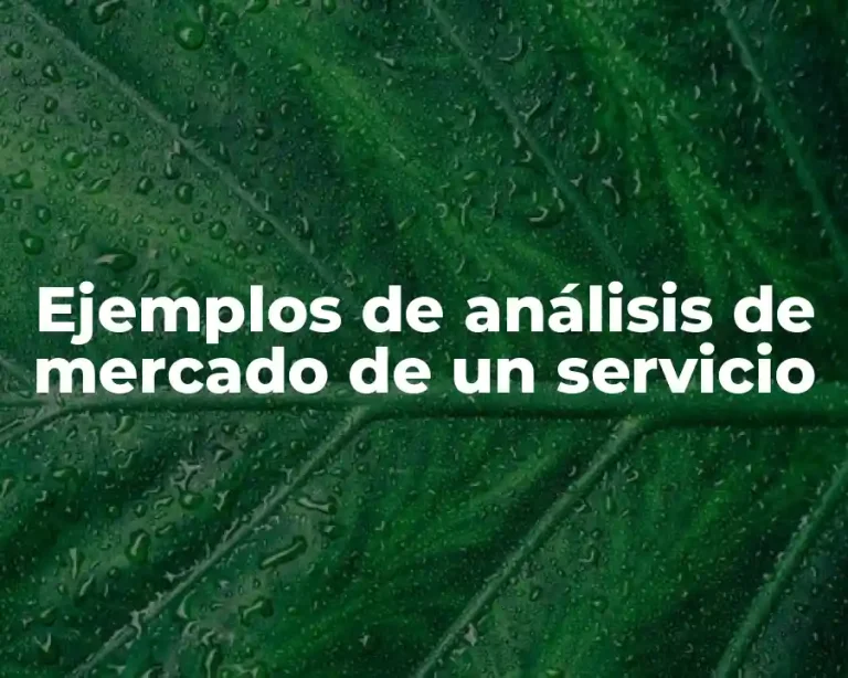Ejemplos de análisis de mercado de un servicio