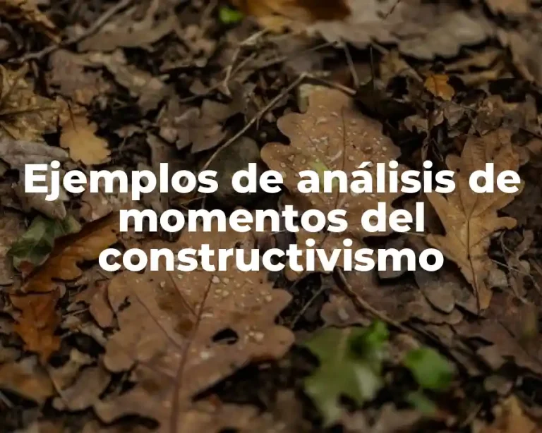 Ejemplos de análisis de momentos del constructivismo