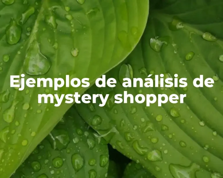 Ejemplos de análisis de mystery shopper