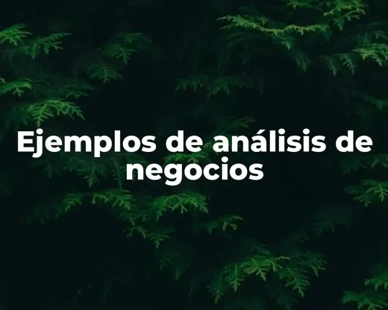 Ejemplos de análisis de negocios