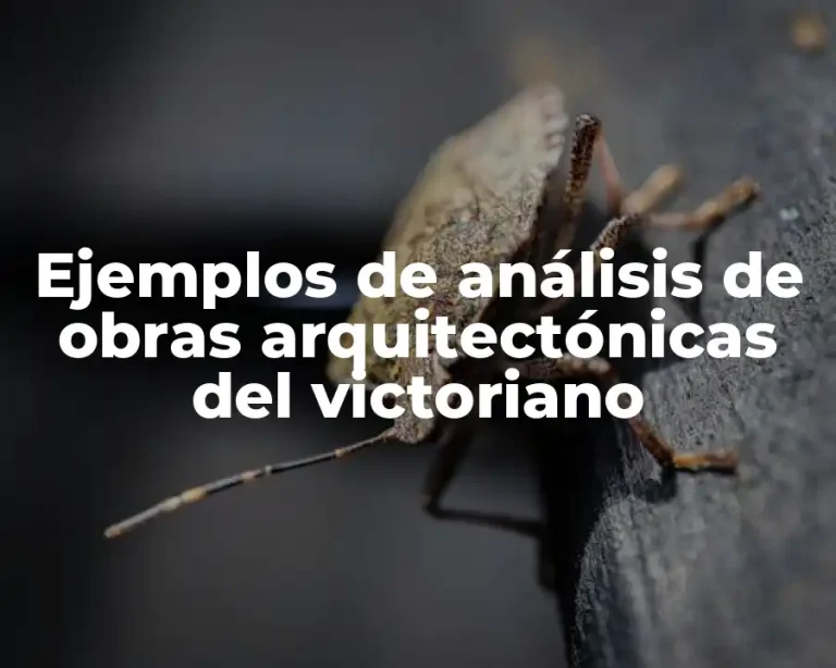 Ejemplos de análisis de obras arquitectónicas del victoriano