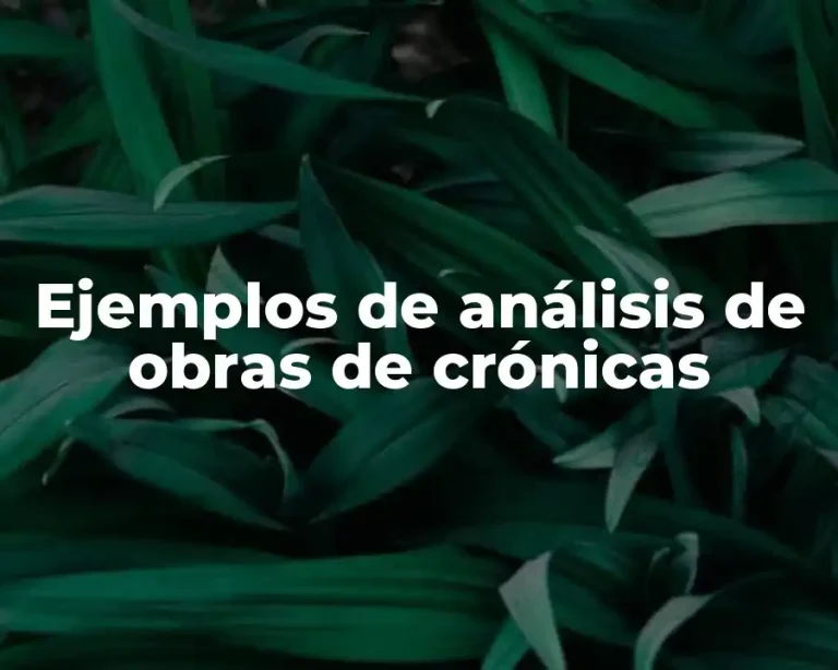 Ejemplos de análisis de obras de crónicas
