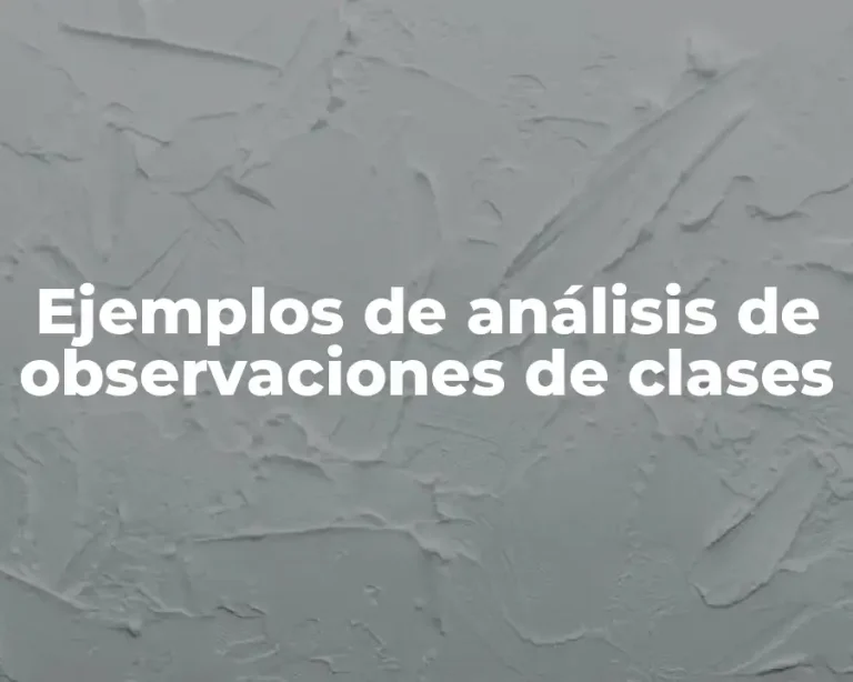 Ejemplos de análisis de observaciones de clases