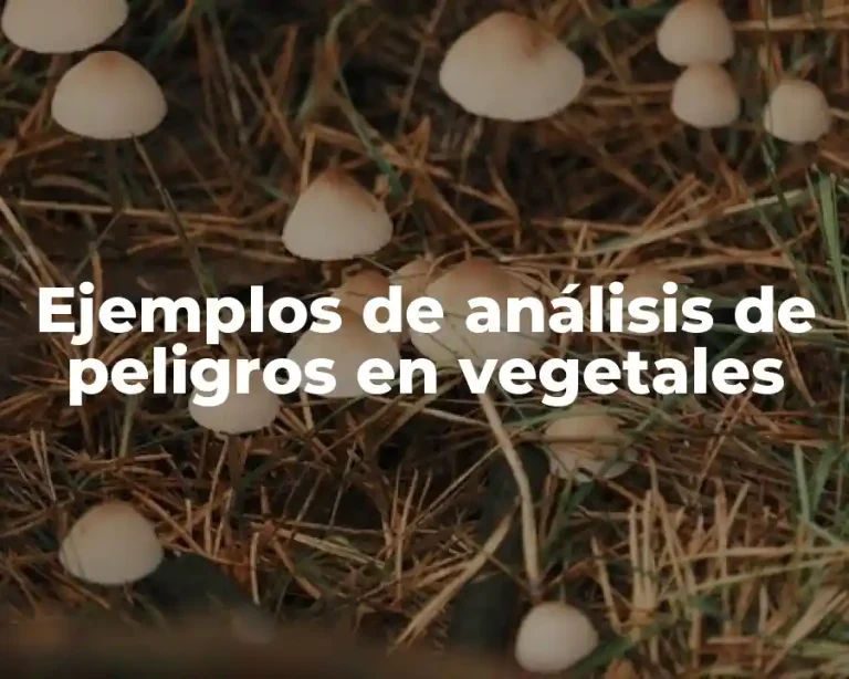 Ejemplos de análisis de peligros en vegetales