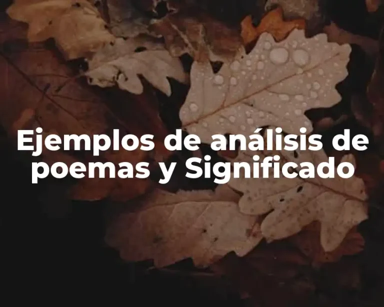Ejemplos de análisis de poemas y Significado