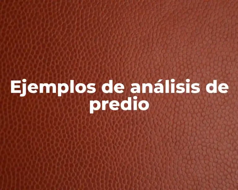 Ejemplos de análisis de predio