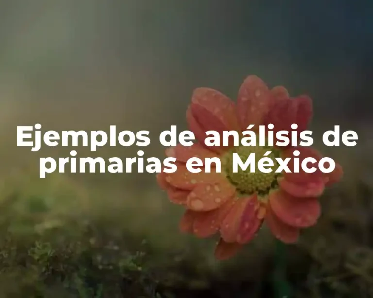 Ejemplos de análisis de primarias en México