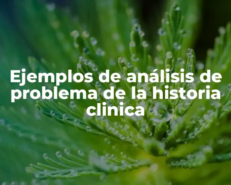 Ejemplos de análisis de problema de la historia clinica