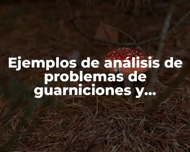 Ejemplos de análisis de problemas de guarniciones y baquetas