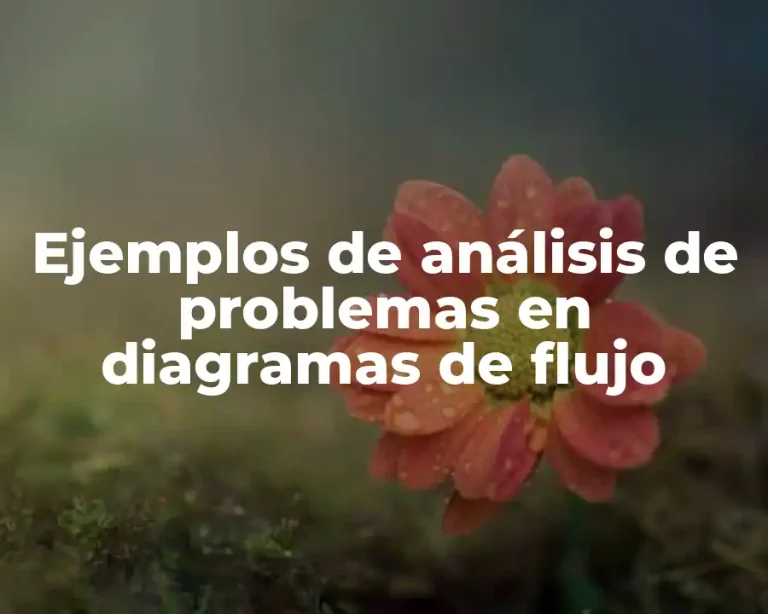 Ejemplos de análisis de problemas en diagramas de flujo