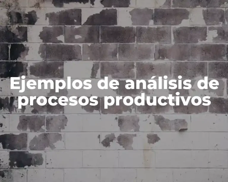 Ejemplos de análisis de procesos productivos