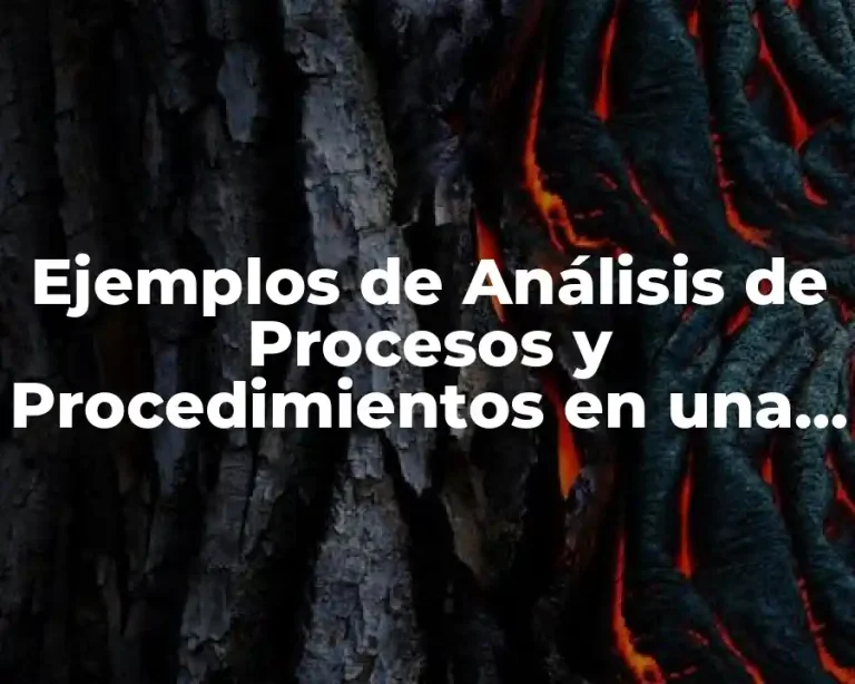 Ejemplos de Análisis de Procesos y Procedimientos en una empresa