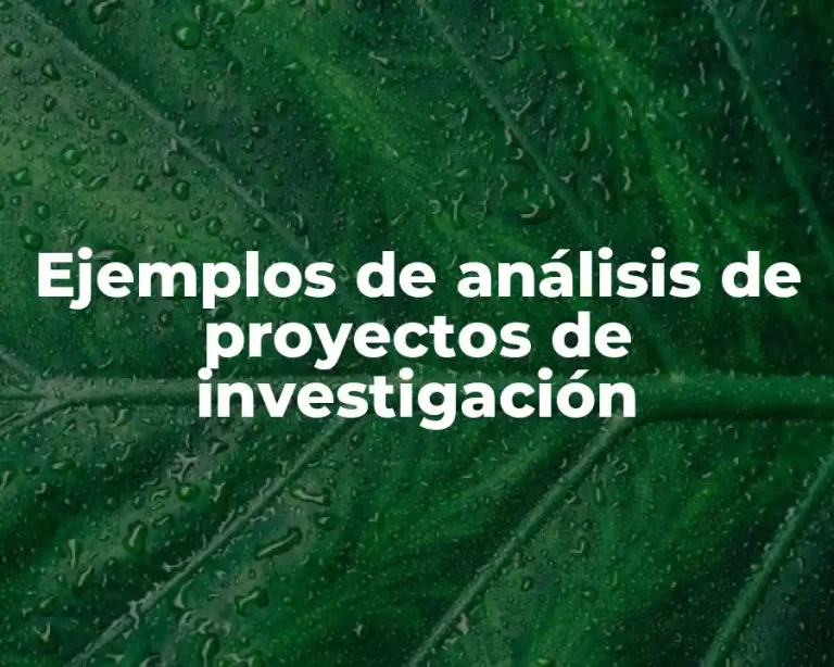 Ejemplos de análisis de proyectos de investigación