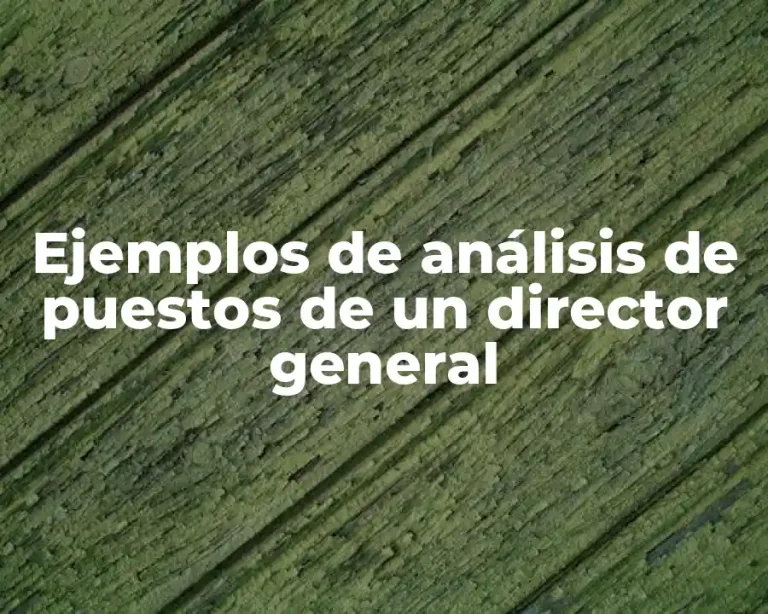 Ejemplos de análisis de puestos de un director general