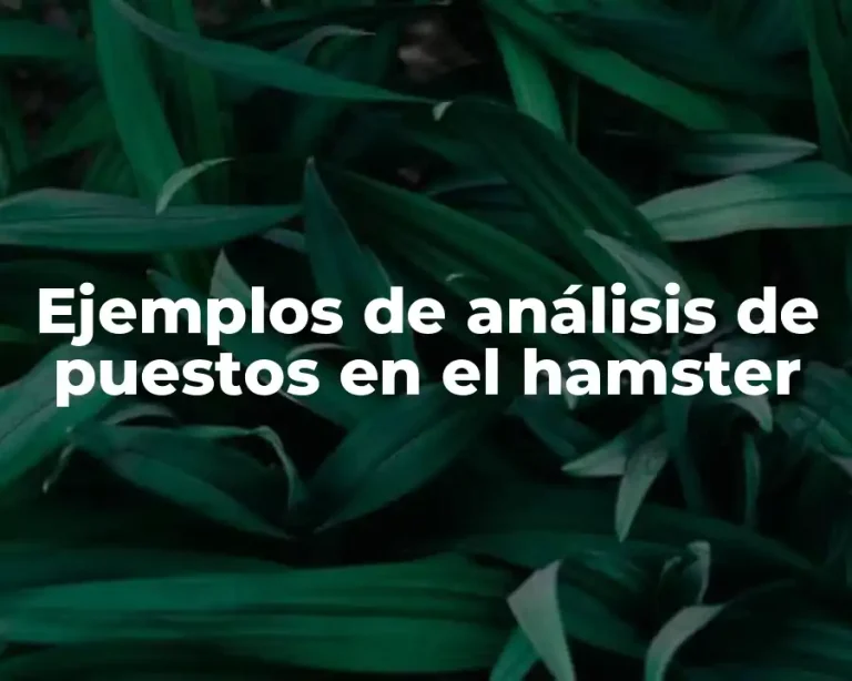 Ejemplos de análisis de puestos en el hamster