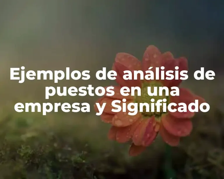 Ejemplos de análisis de puestos en una empresa y Significado