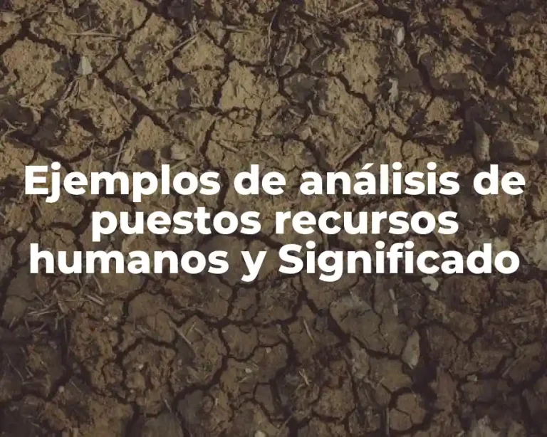 Ejemplos de análisis de puestos recursos humanos y Significado