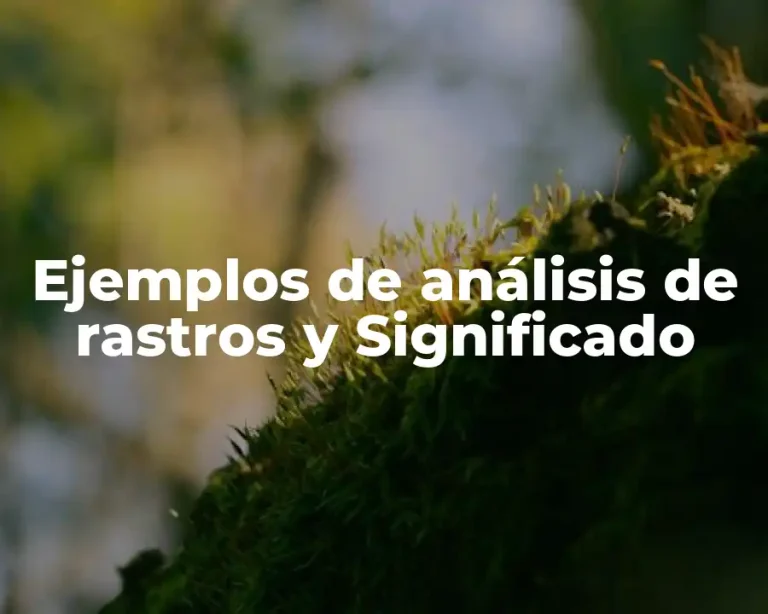 Ejemplos de análisis de rastros y Significado