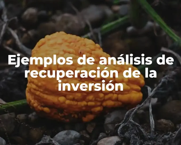 Ejemplos de análisis de recuperación de la inversión