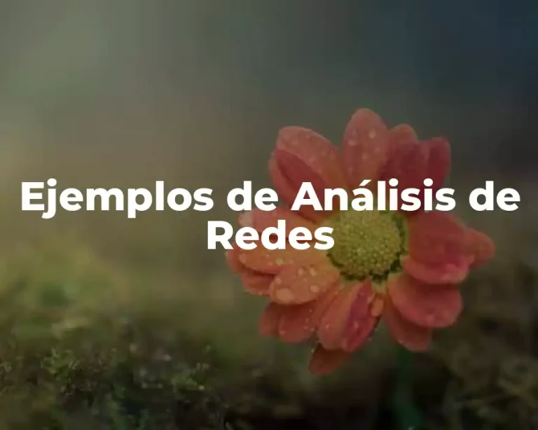Ejemplos de Análisis de Redes