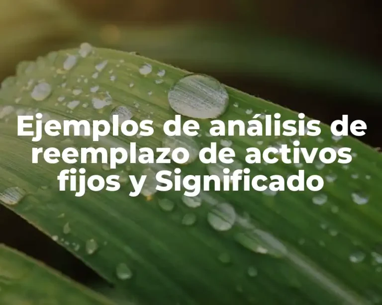 Ejemplos de análisis de reemplazo de activos fijos y Significado