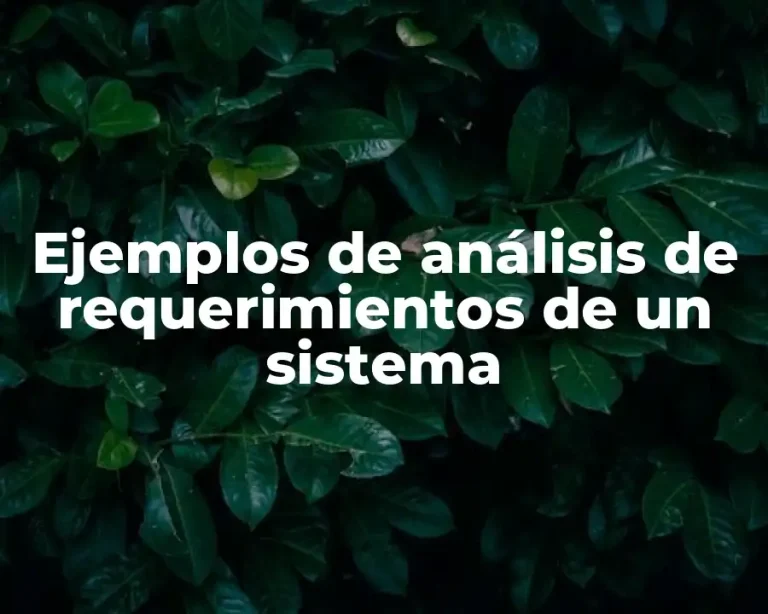 Ejemplos de análisis de requerimientos de un sistema