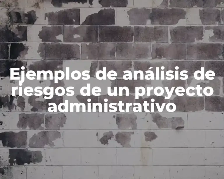 Ejemplos de análisis de riesgos de un proyecto administrativo