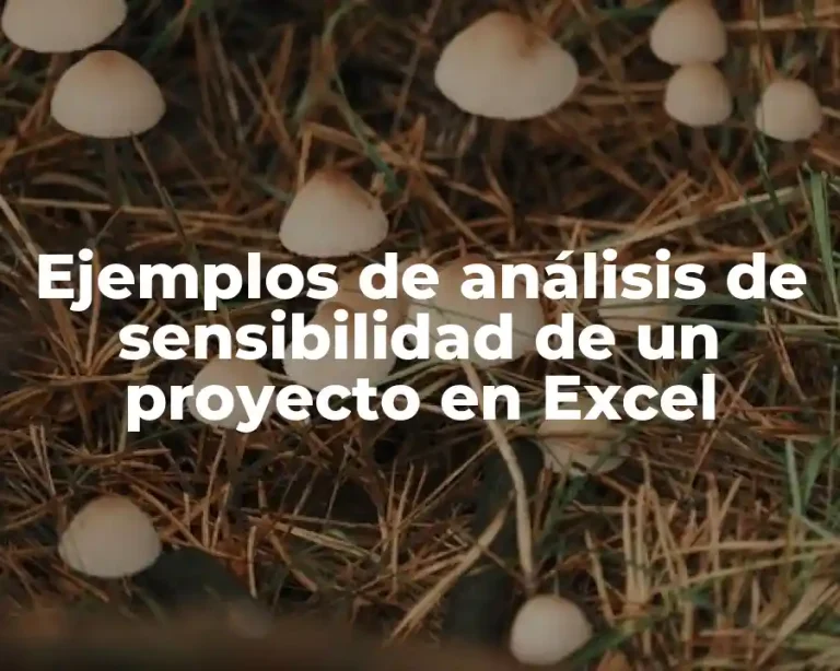 Ejemplos de análisis de sensibilidad de un proyecto en Excel