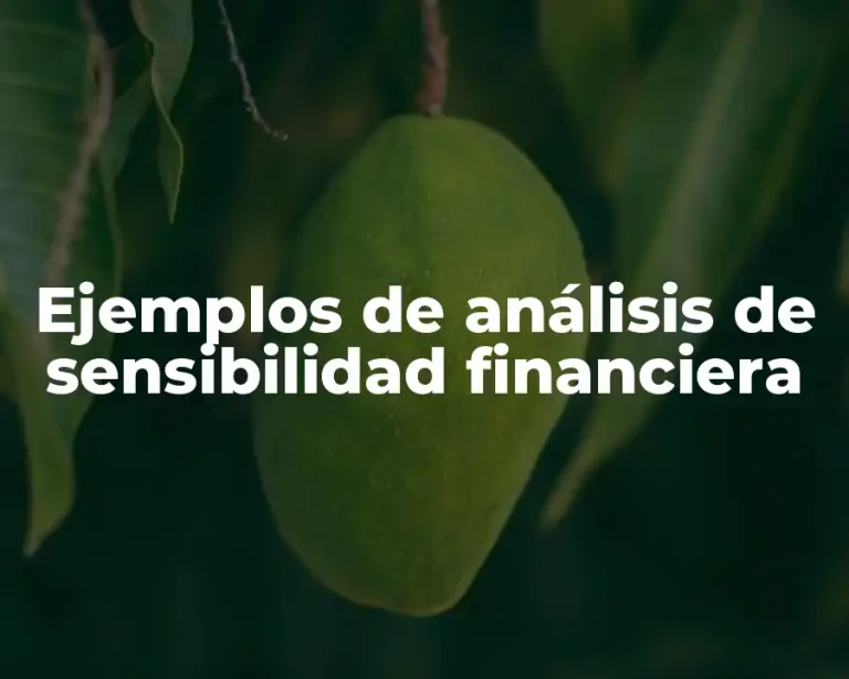 Ejemplos de análisis de sensibilidad financiera