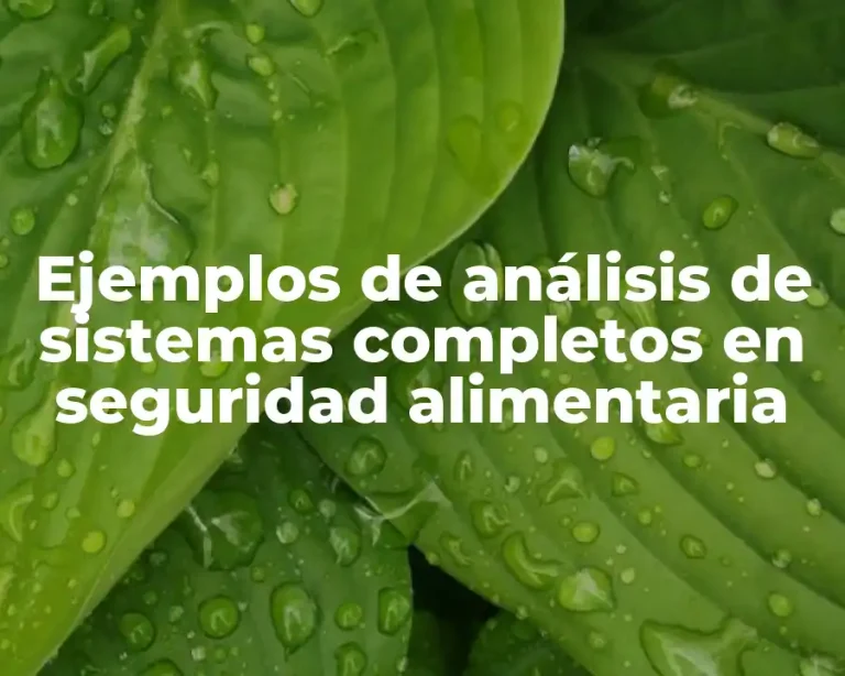 Ejemplos de análisis de sistemas completos en seguridad alimentaria