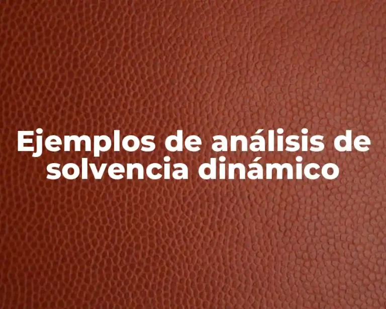 Ejemplos de análisis de solvencia dinámico