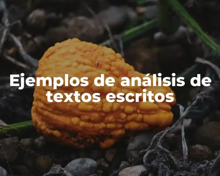 Ejemplos de análisis de textos escritos