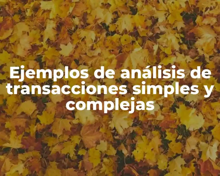 Ejemplos de análisis de transacciones simples y complejas