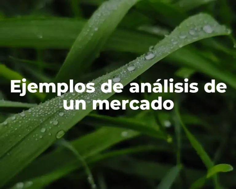 Ejemplos de análisis de un mercado