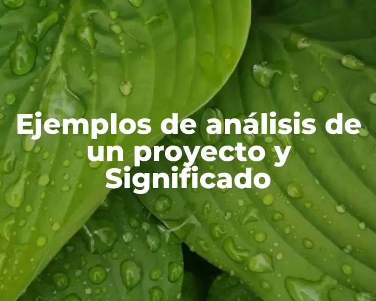 Ejemplos de análisis de un proyecto y Significado