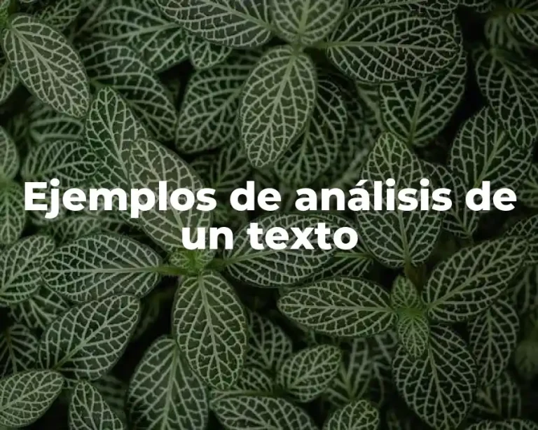 Ejemplos de análisis de un texto
