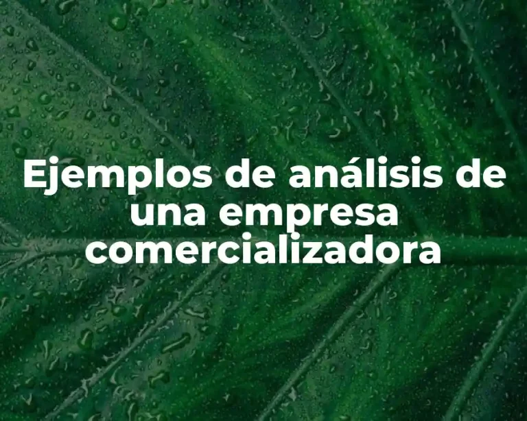 Ejemplos de análisis de una empresa comercializadora