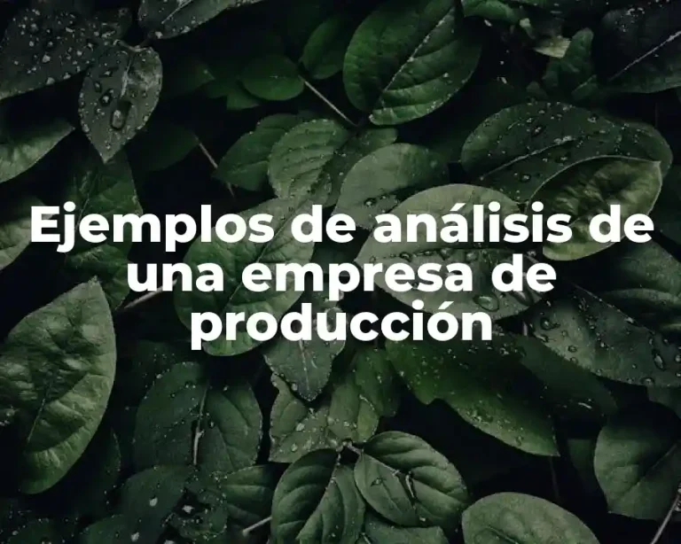 Ejemplos de análisis de una empresa de producción