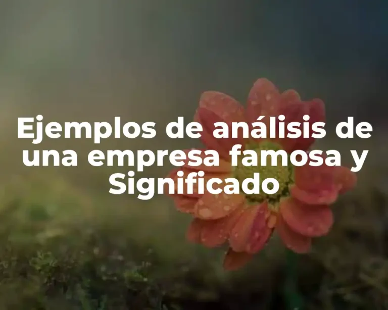 Ejemplos de análisis de una empresa famosa y Significado
