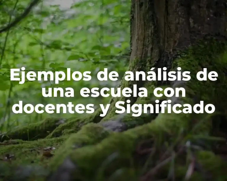 Ejemplos de análisis de una escuela con docentes y Significado