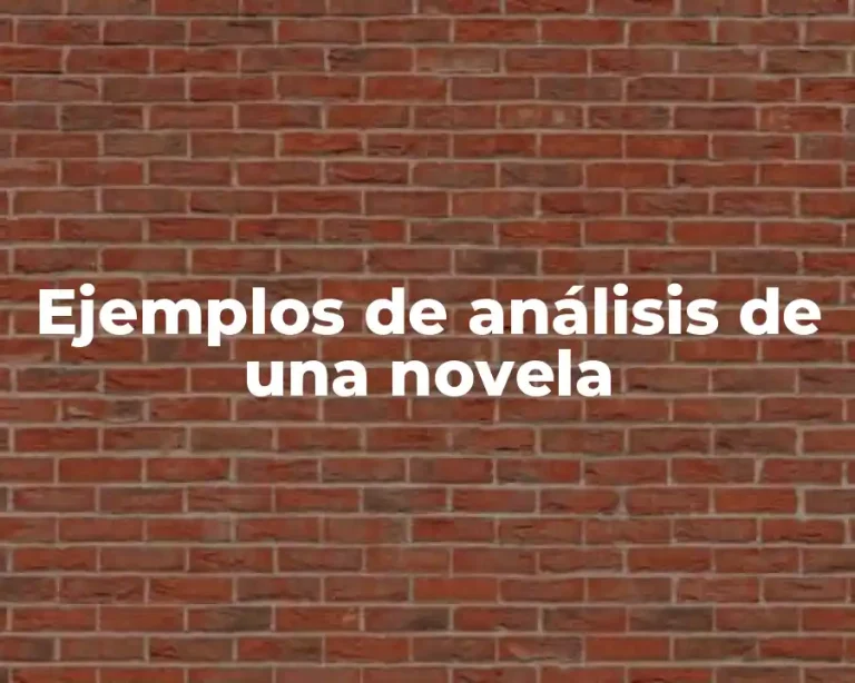 Ejemplos de análisis de una novela