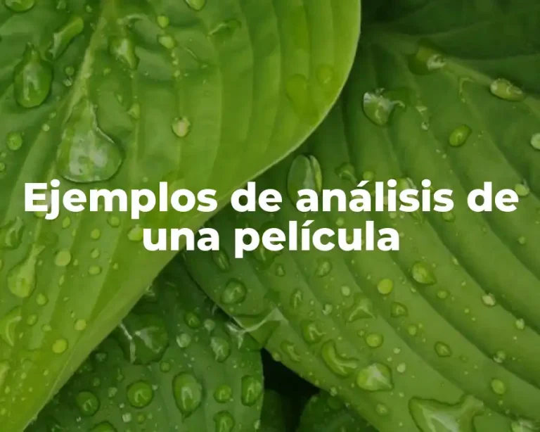 Ejemplos de análisis de una película