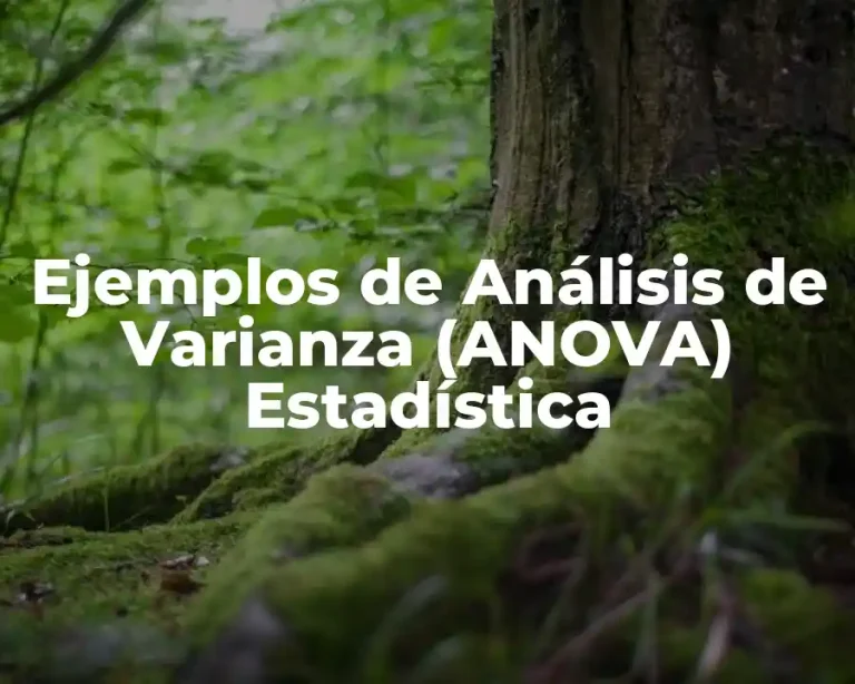 Ejemplos de Análisis de Varianza (ANOVA) Estadística