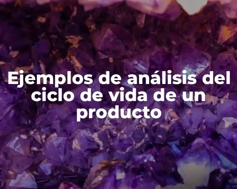 Ejemplos de análisis del ciclo de vida de un producto