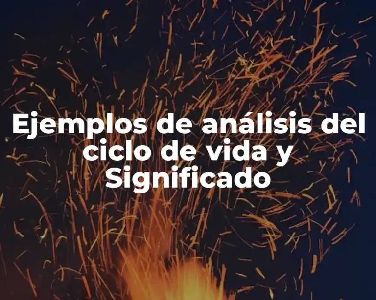 Ejemplos de análisis del ciclo de vida y Significado